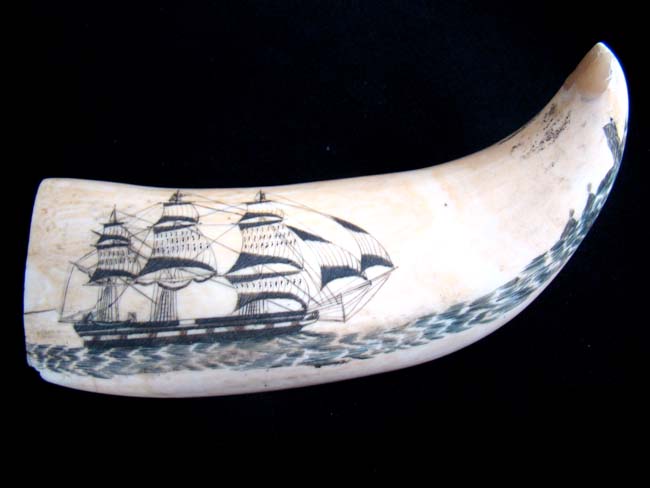 Possibly the Most Beautiful pair of 19th century American Whale's Teeth on the Market Today!! — image 5